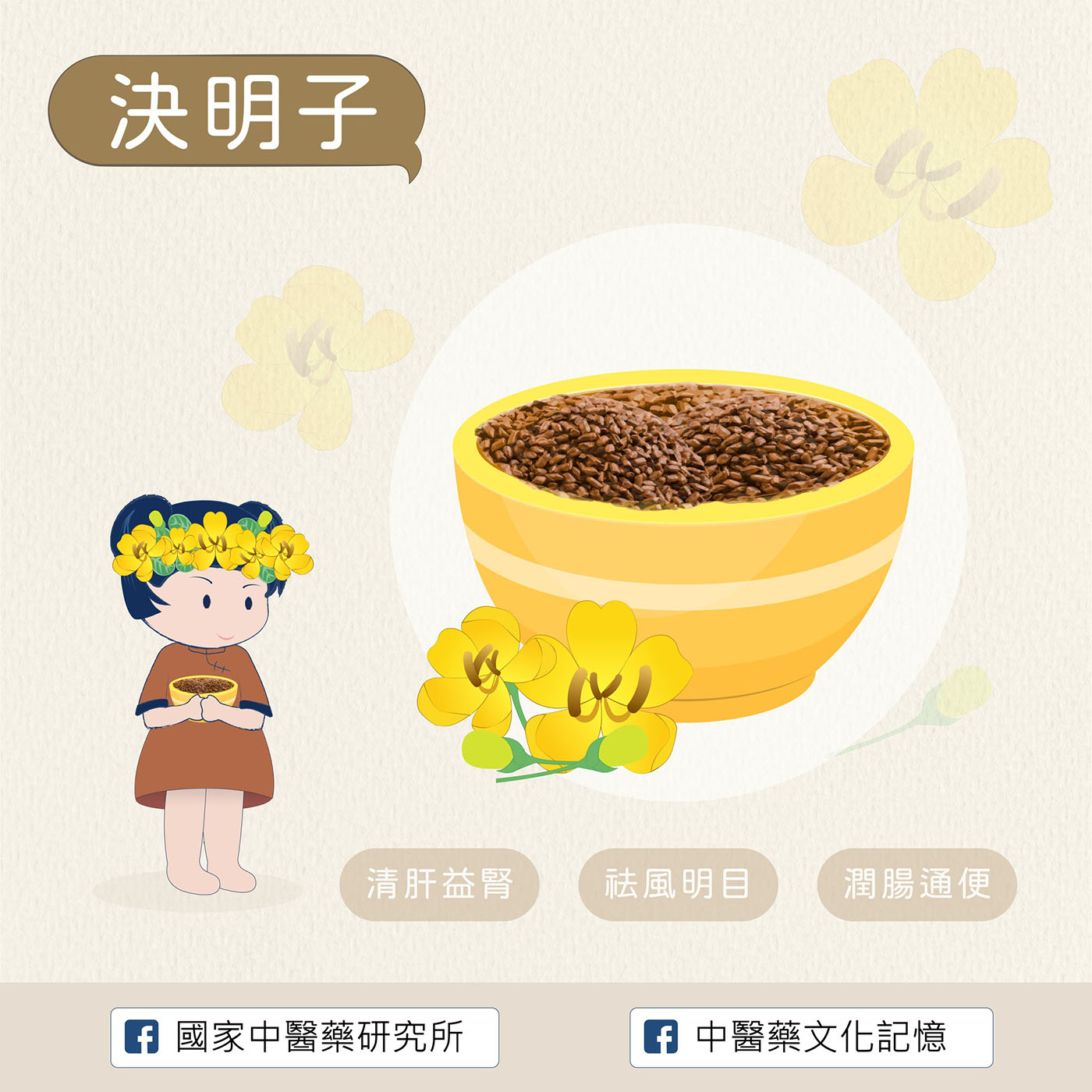 決明子
