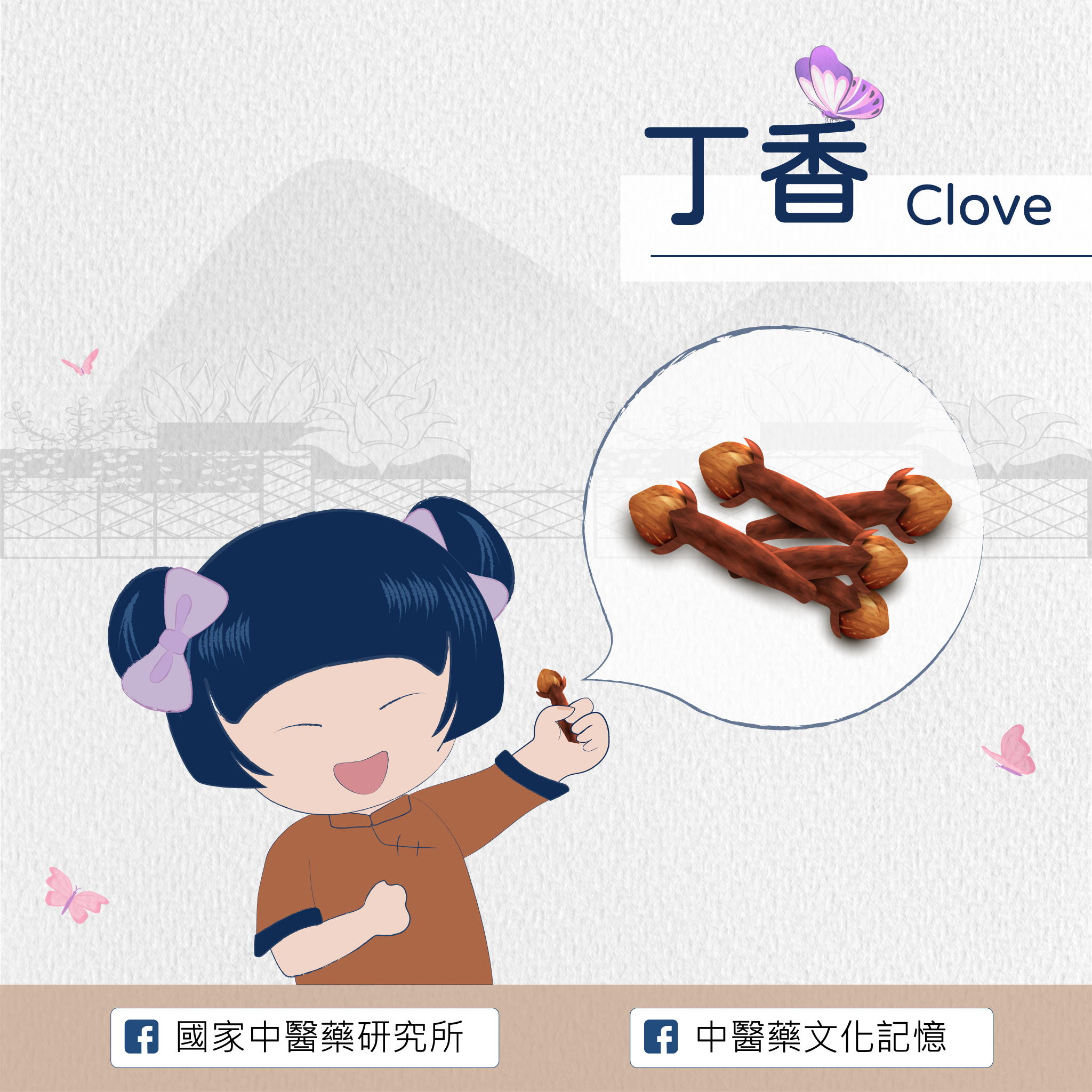丁香