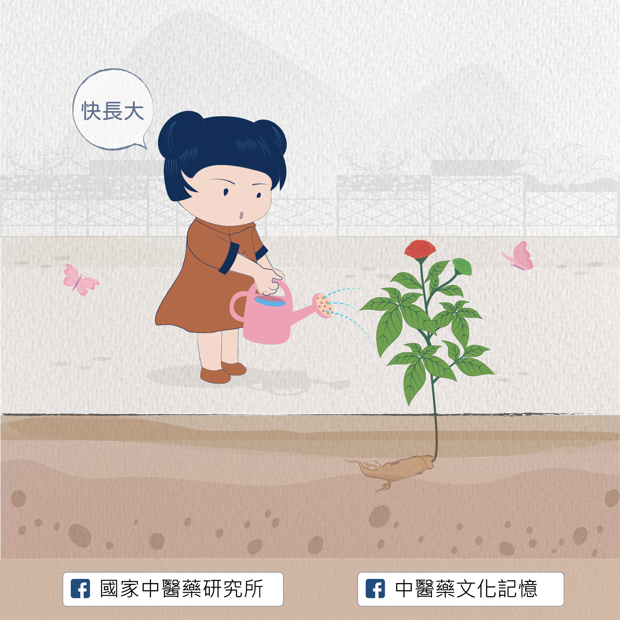 三七