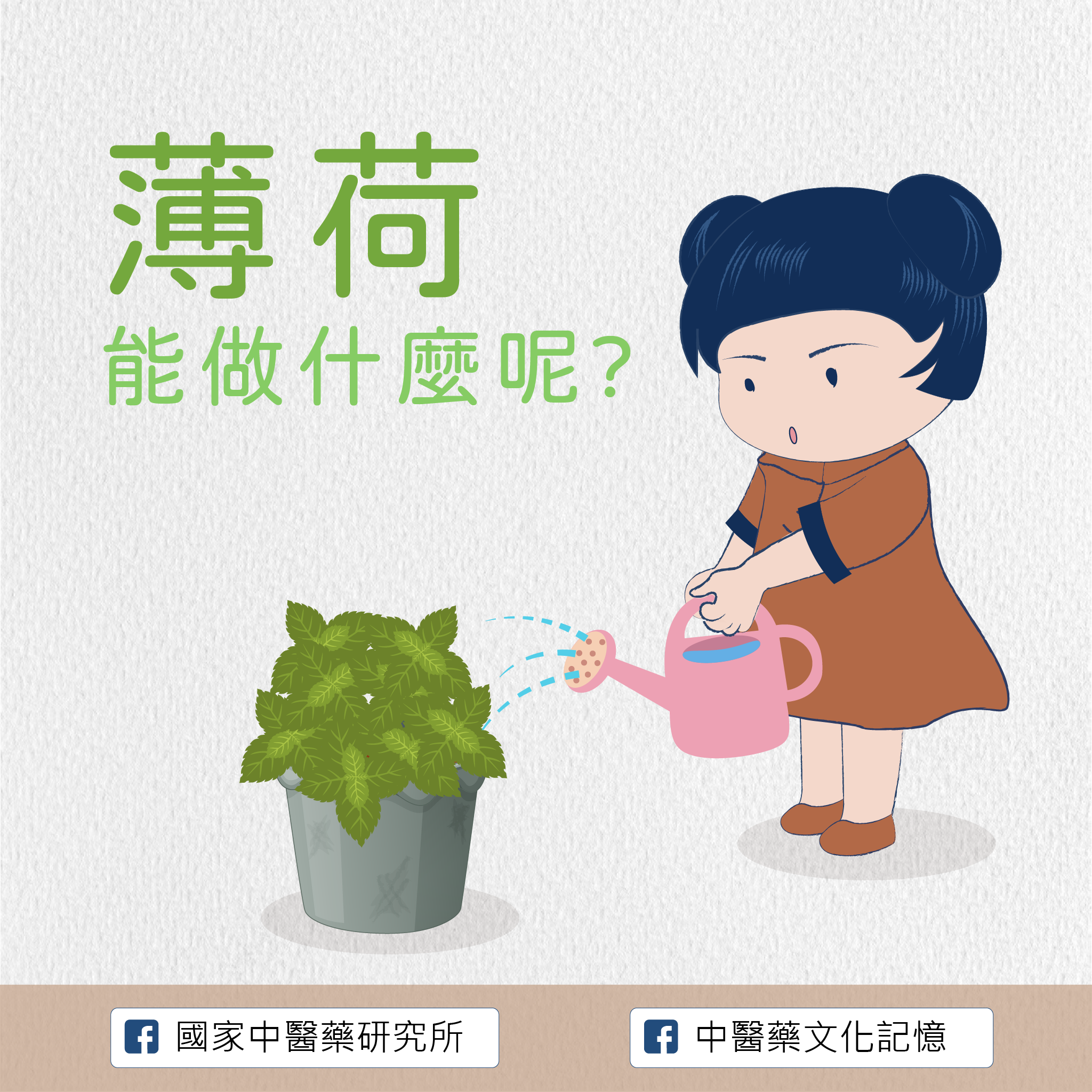 薄荷