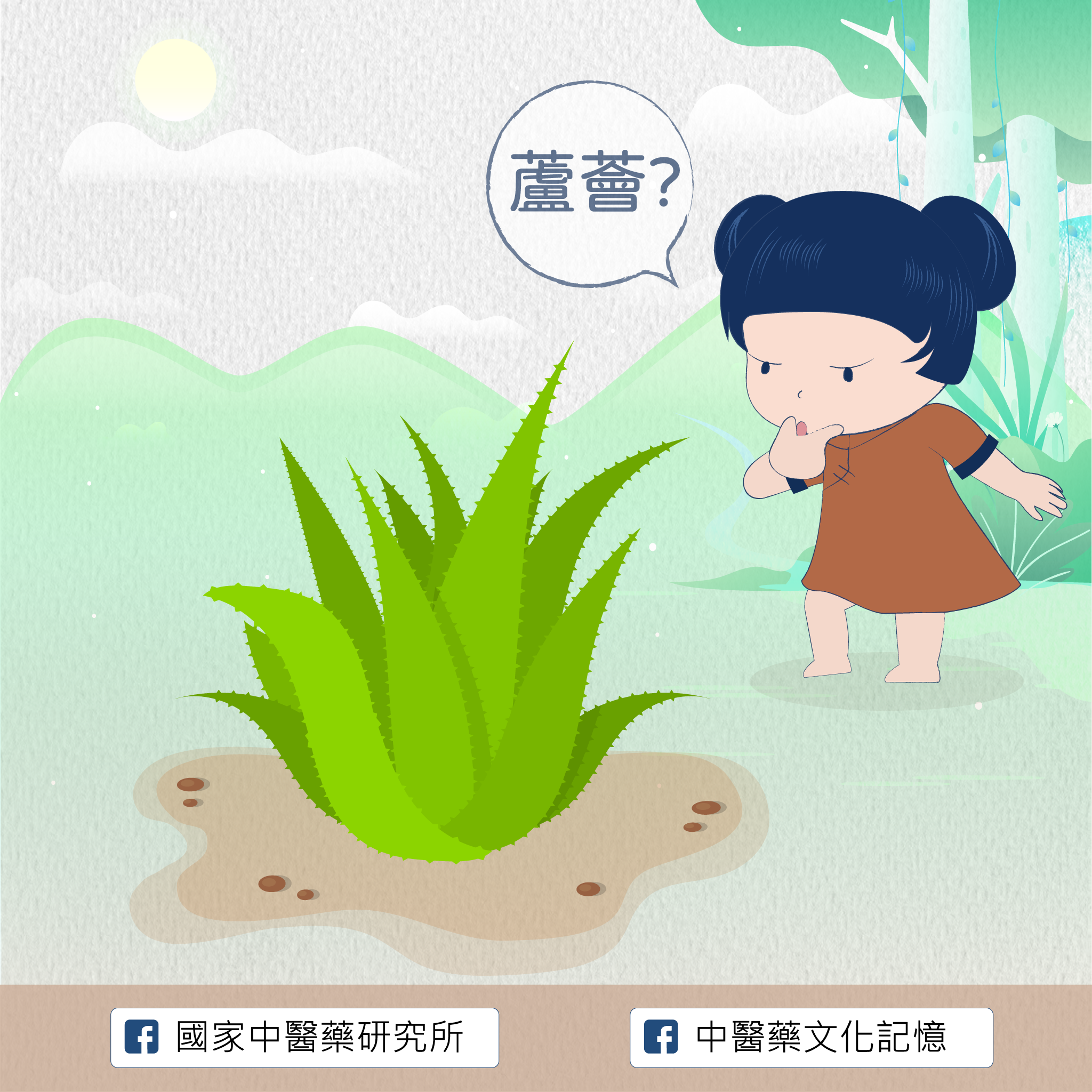 蘆薈