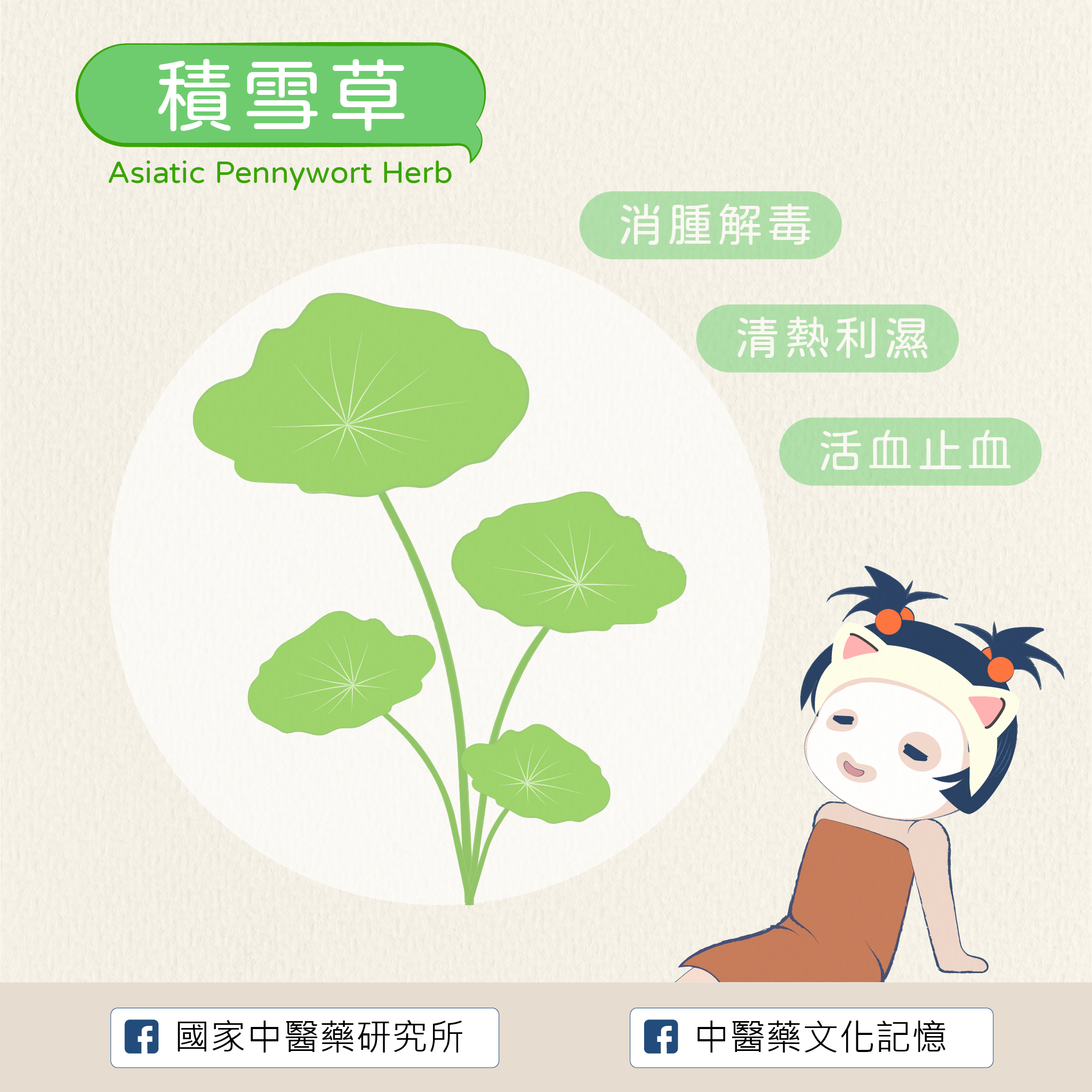 積雪草