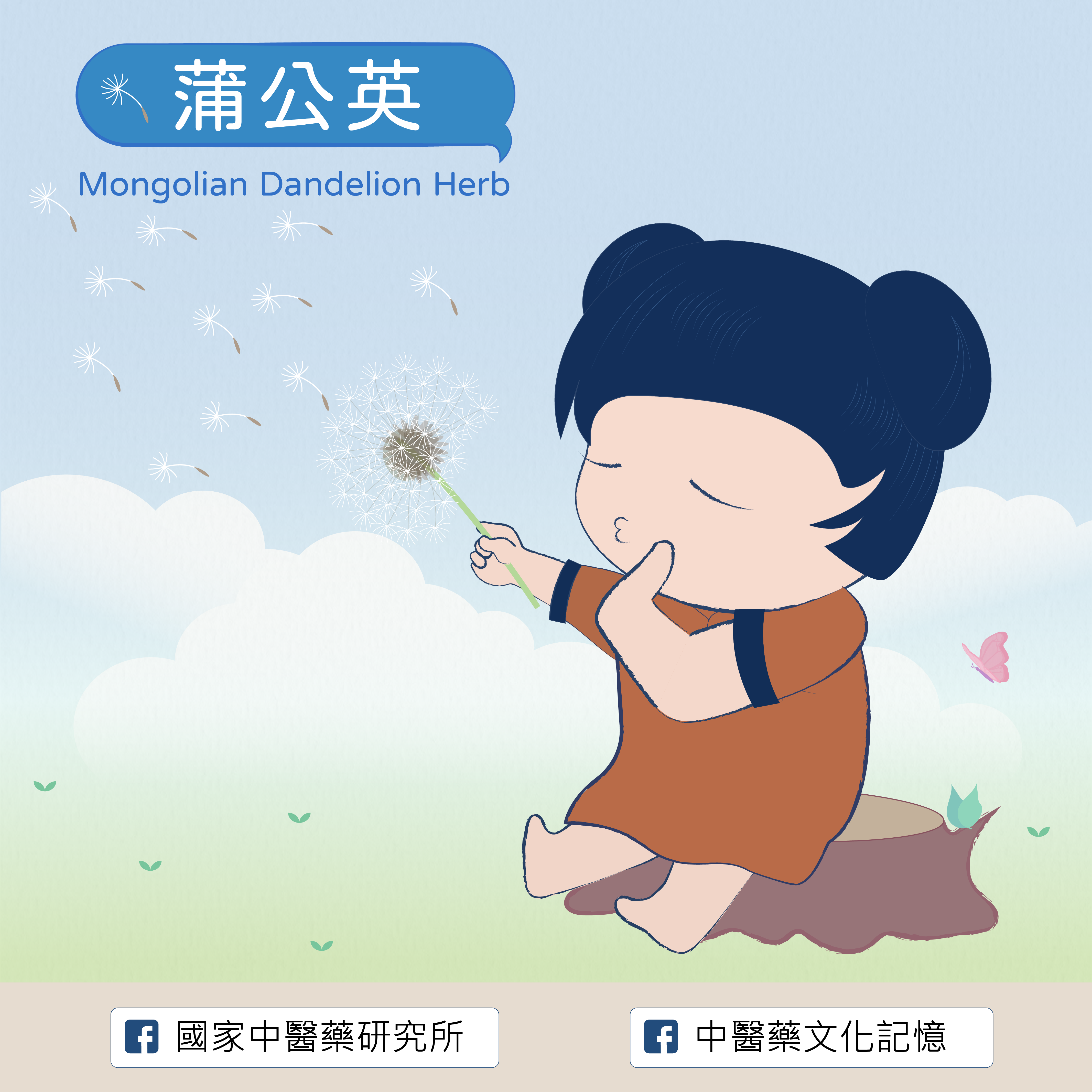 蒲公英