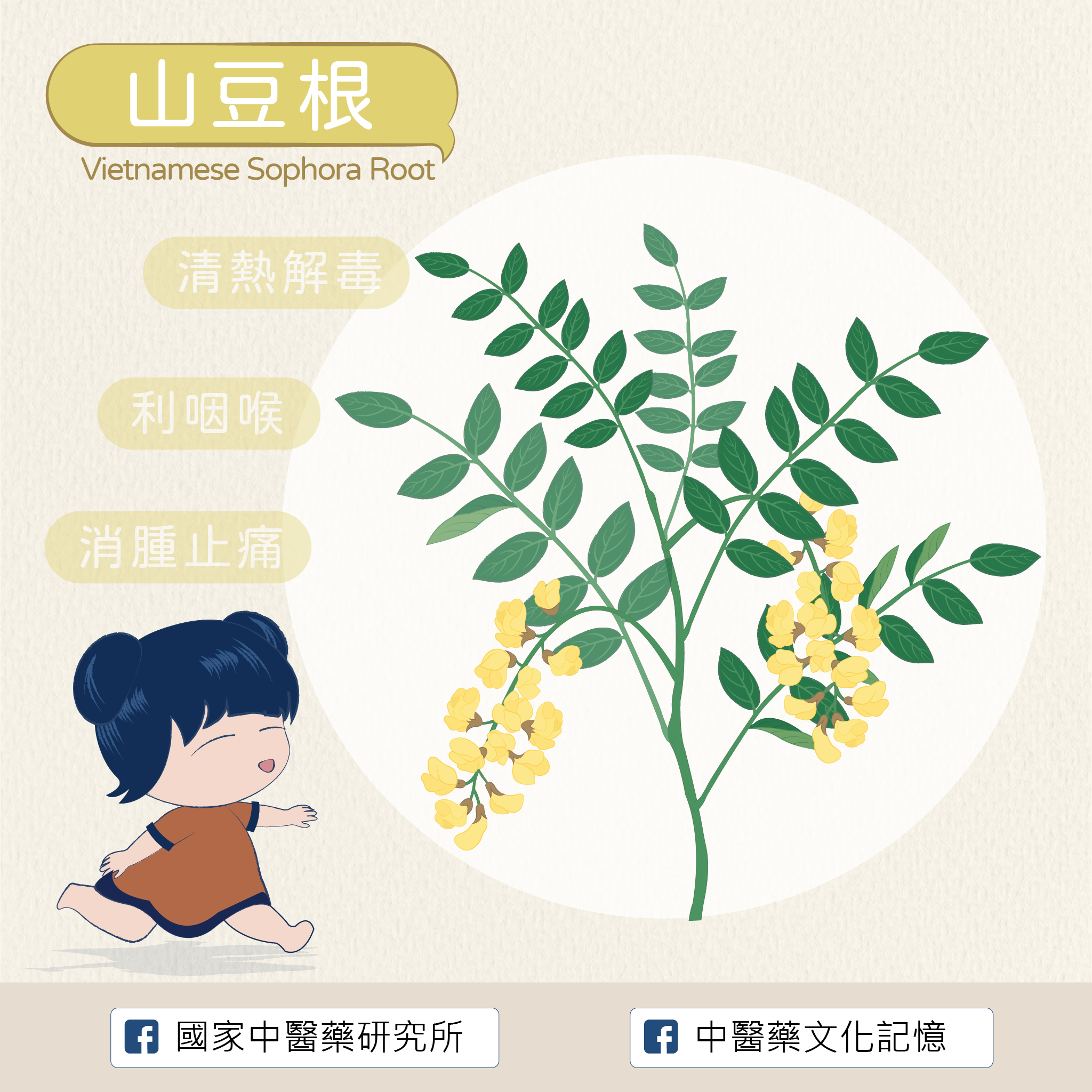 山豆根