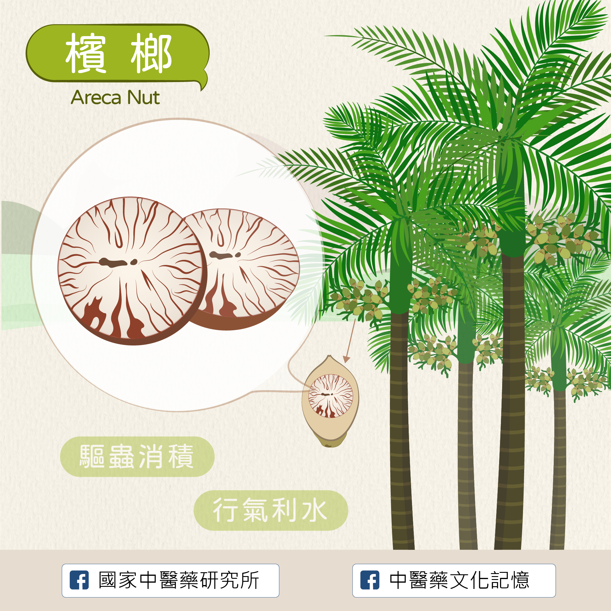 檳榔
