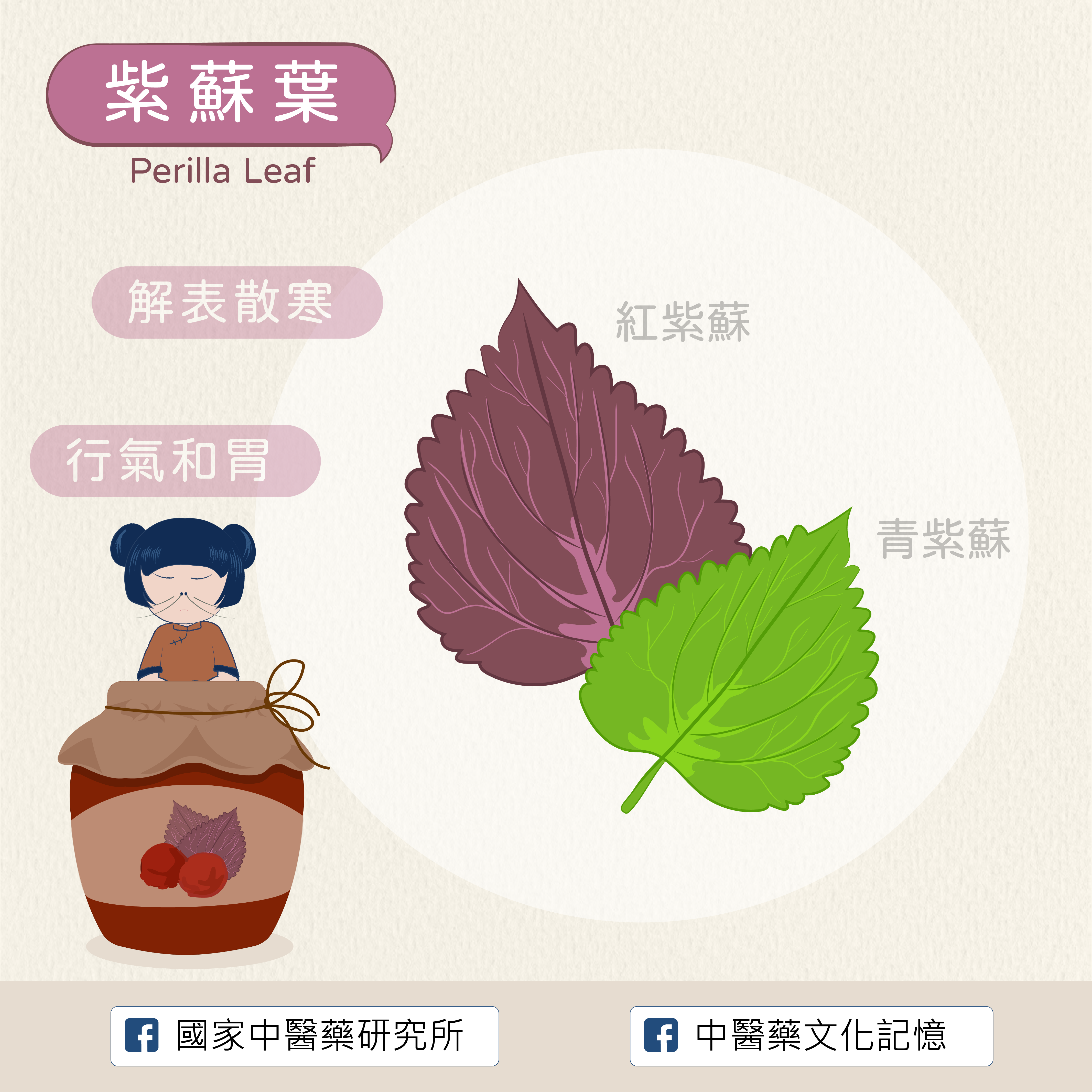 紫蘇葉
