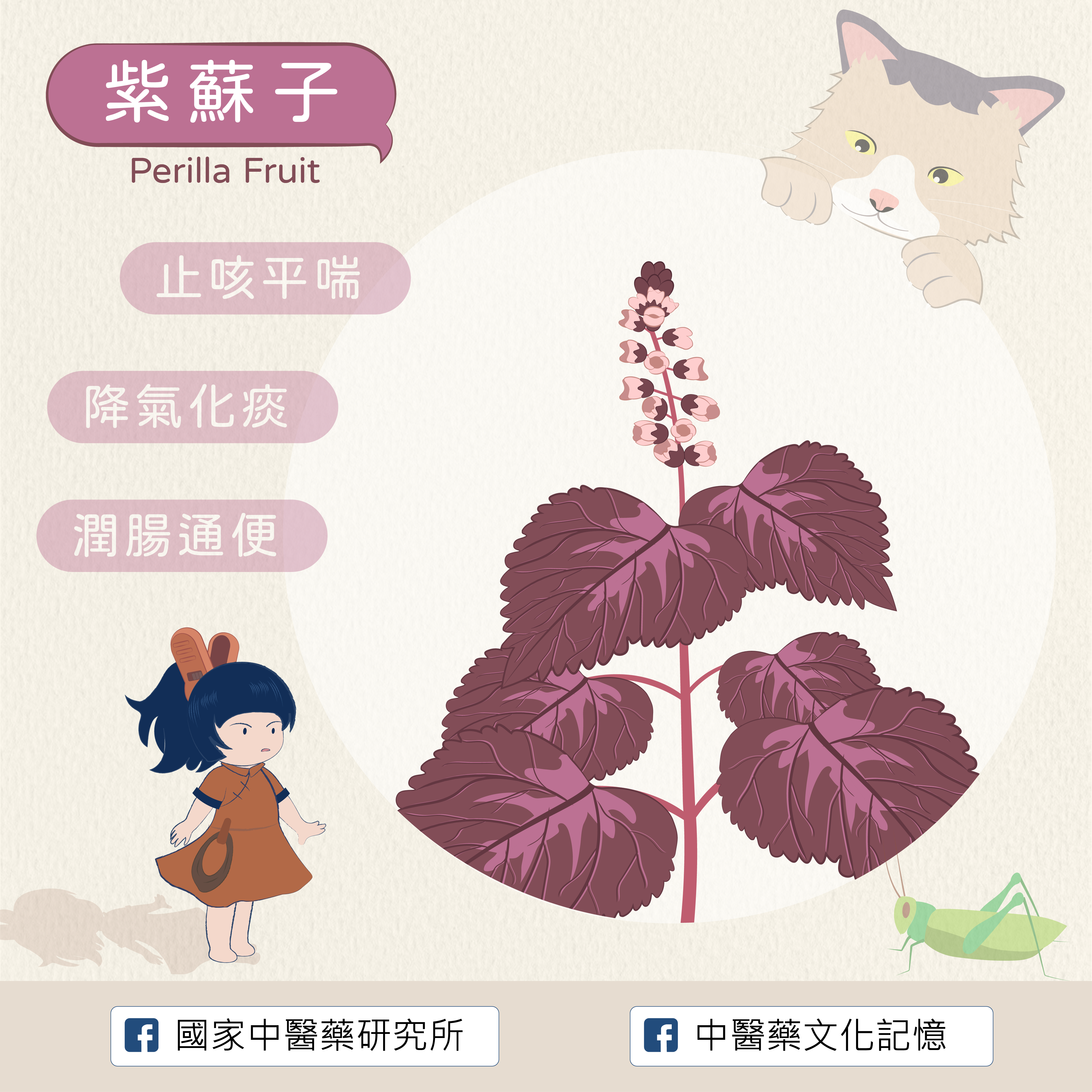 紫蘇子