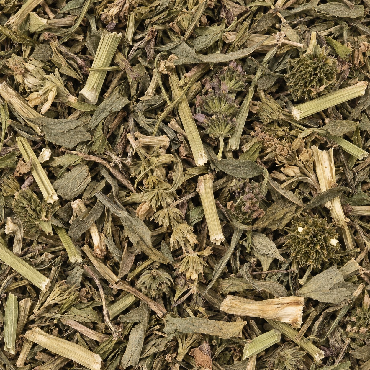 208	益母草	