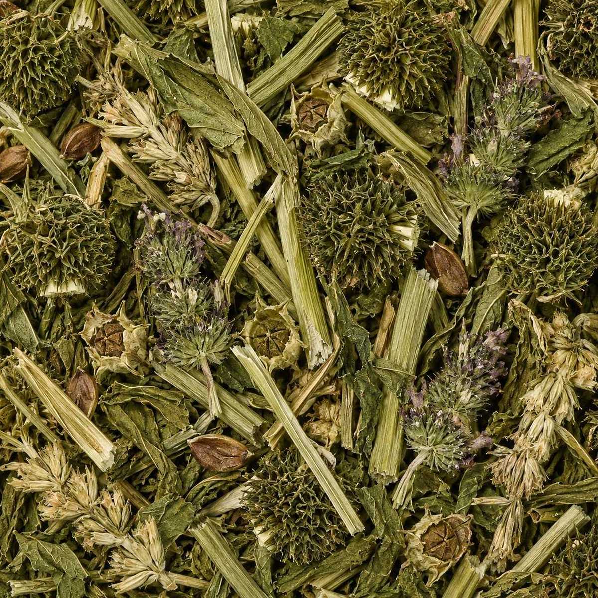 208	益母草	