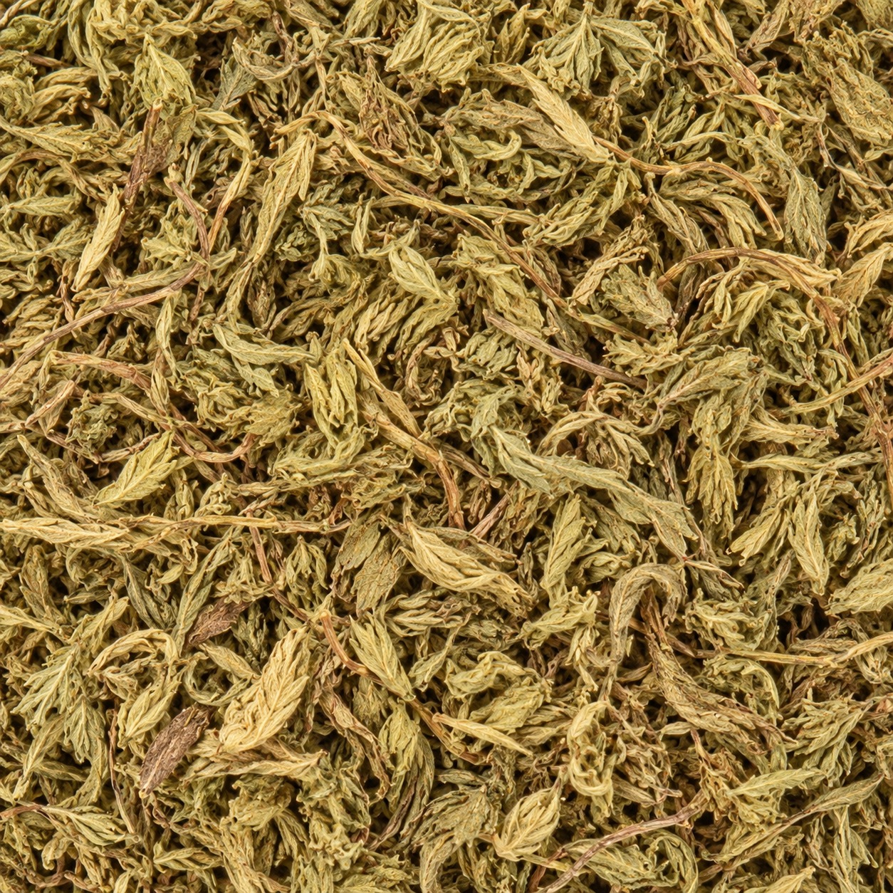 220	茵陳