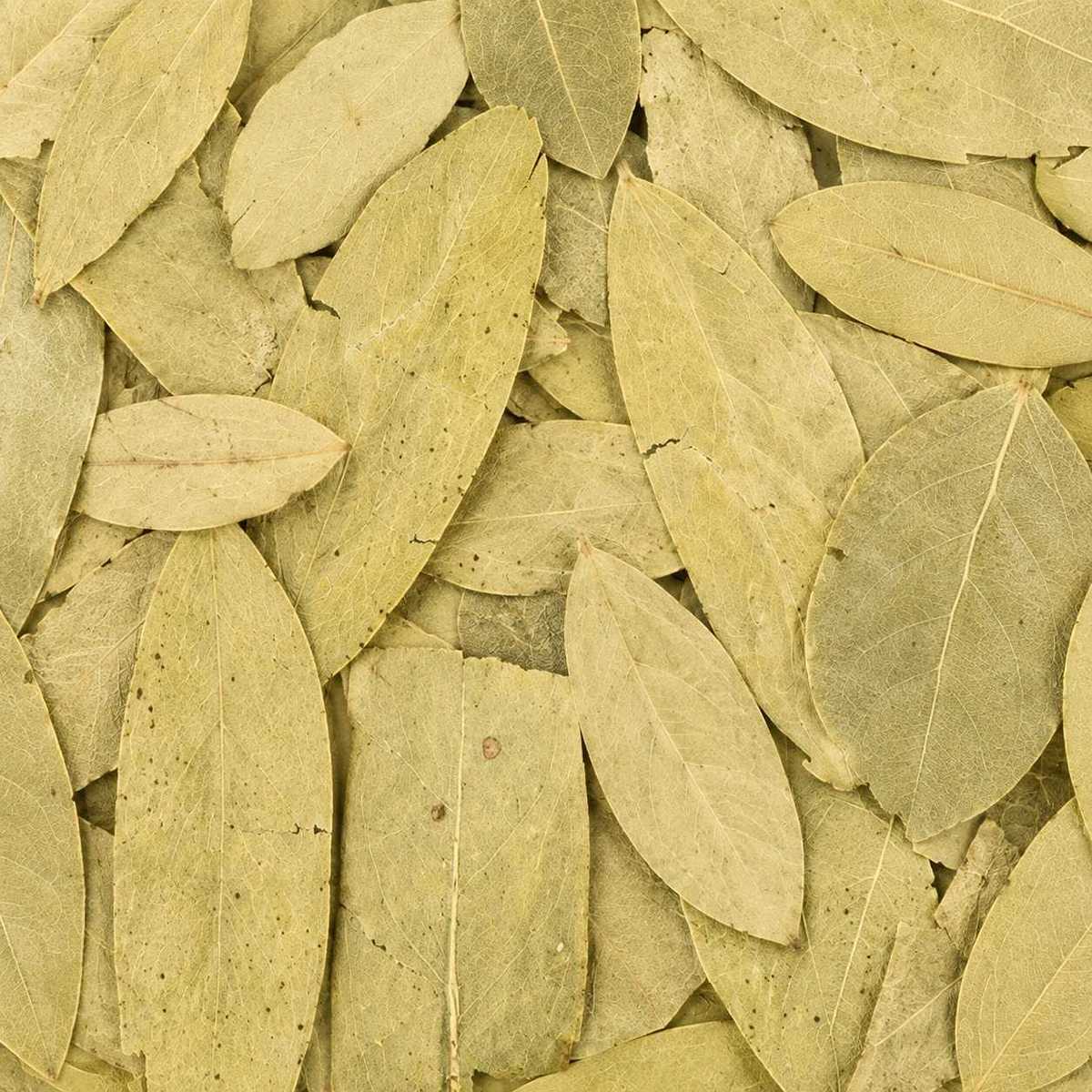 260	番瀉葉