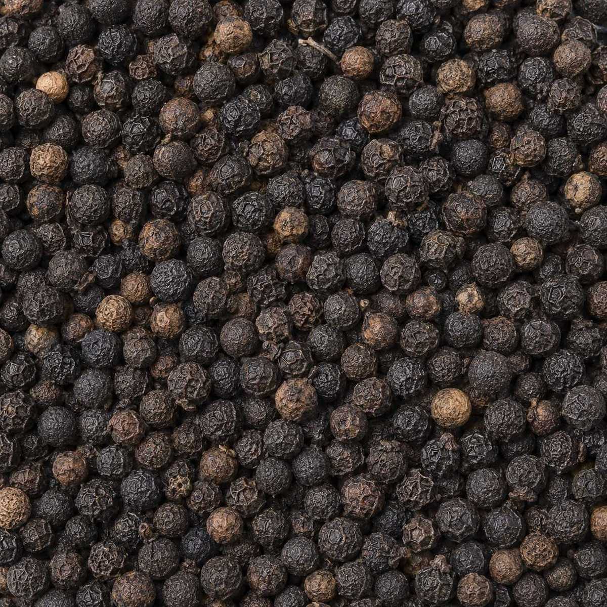 313	蓽澄茄