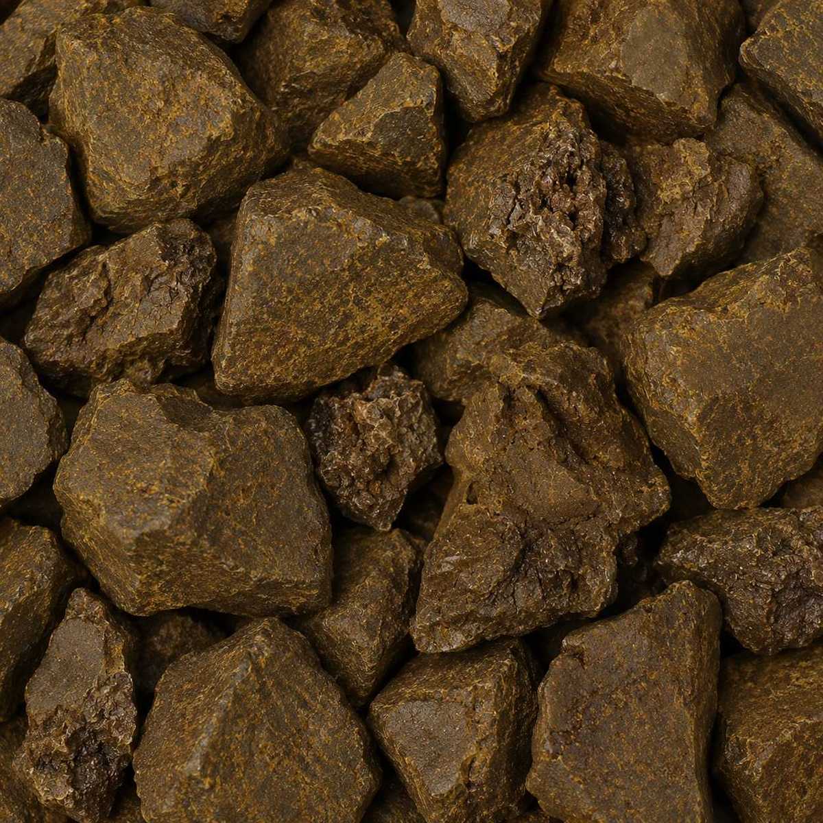 348	蘆薈(庫拉索蘆薈)