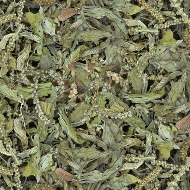 平車前草