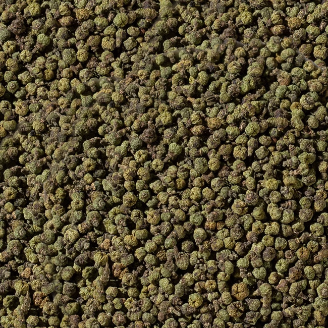 吳茱萸