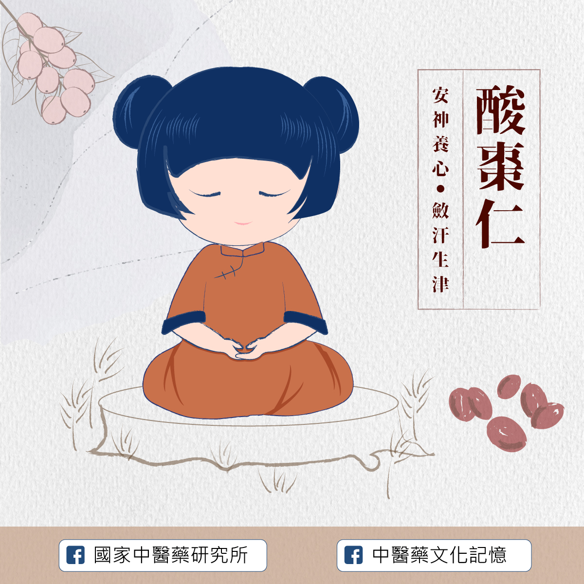 酸棗仁