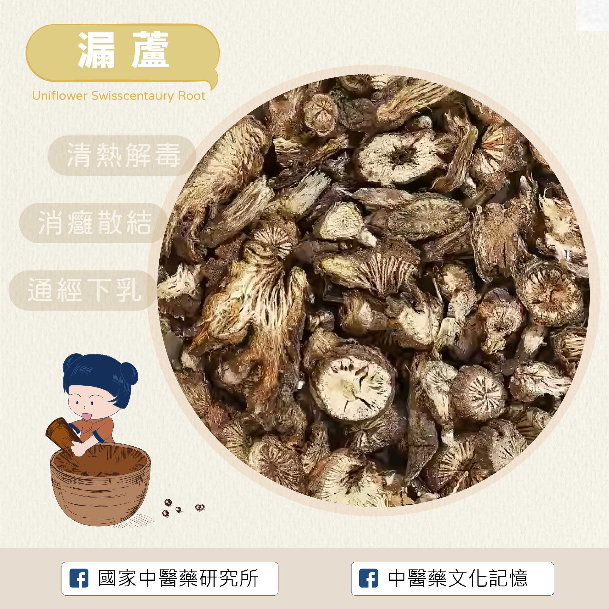 漏蘆