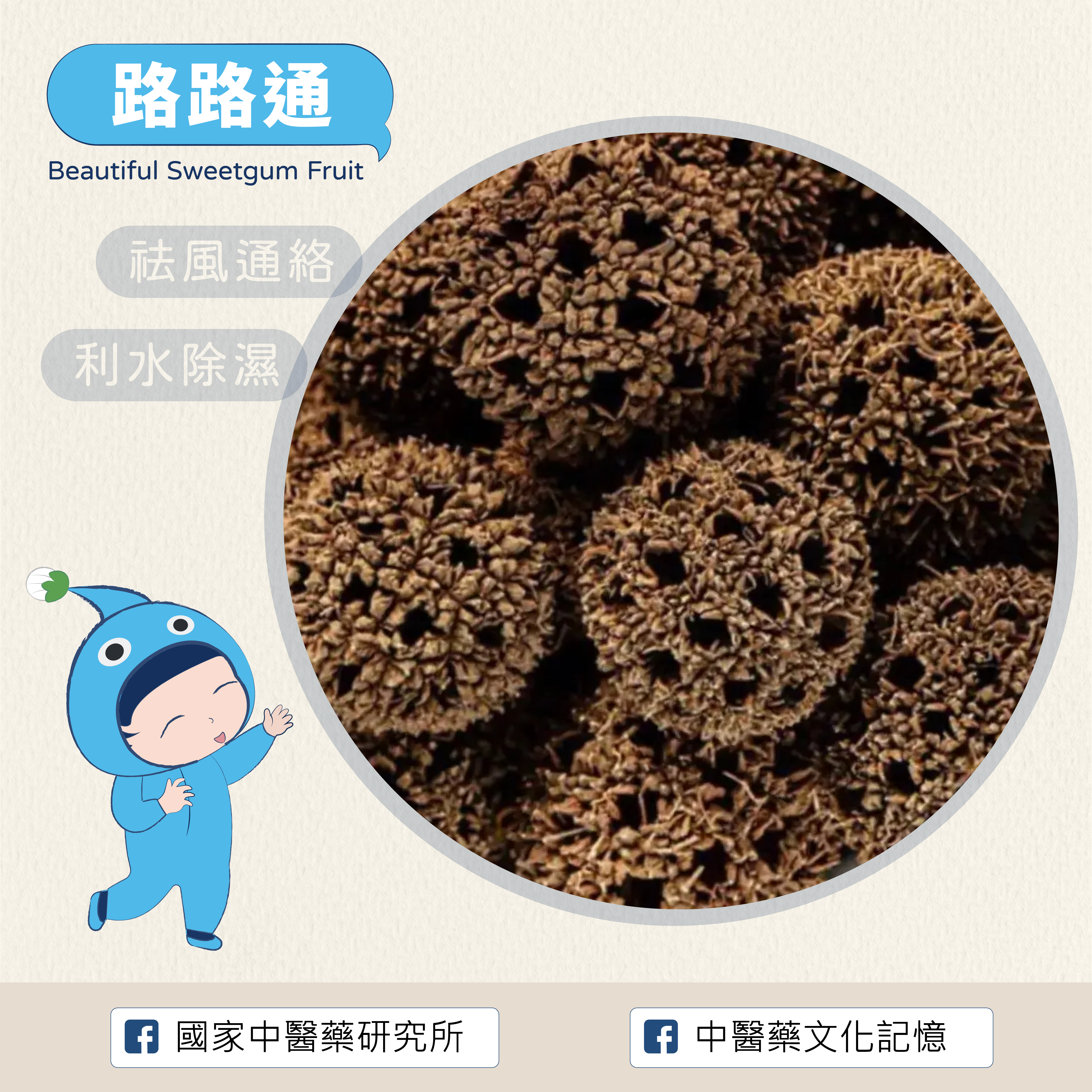 路路通  