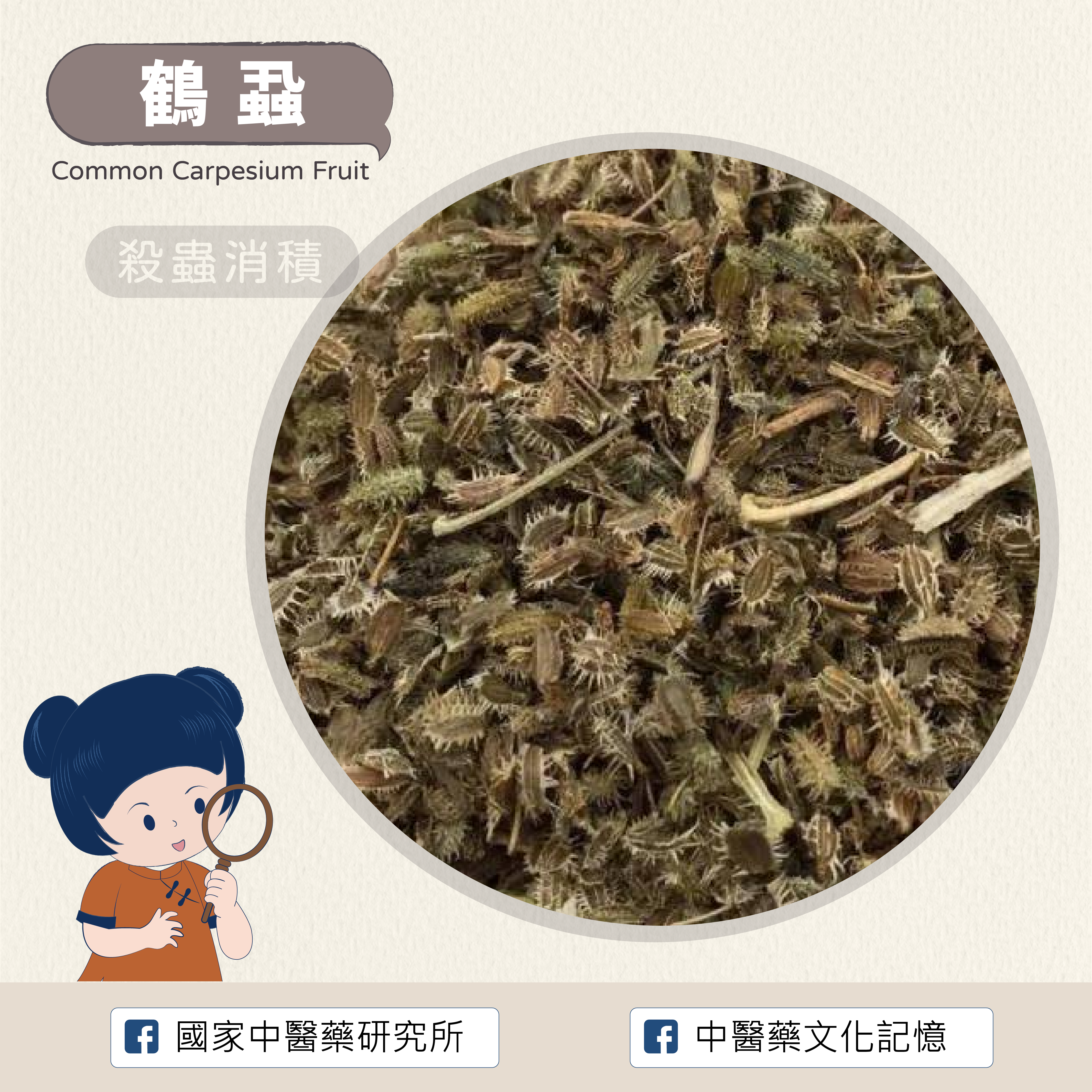 鶴蝨