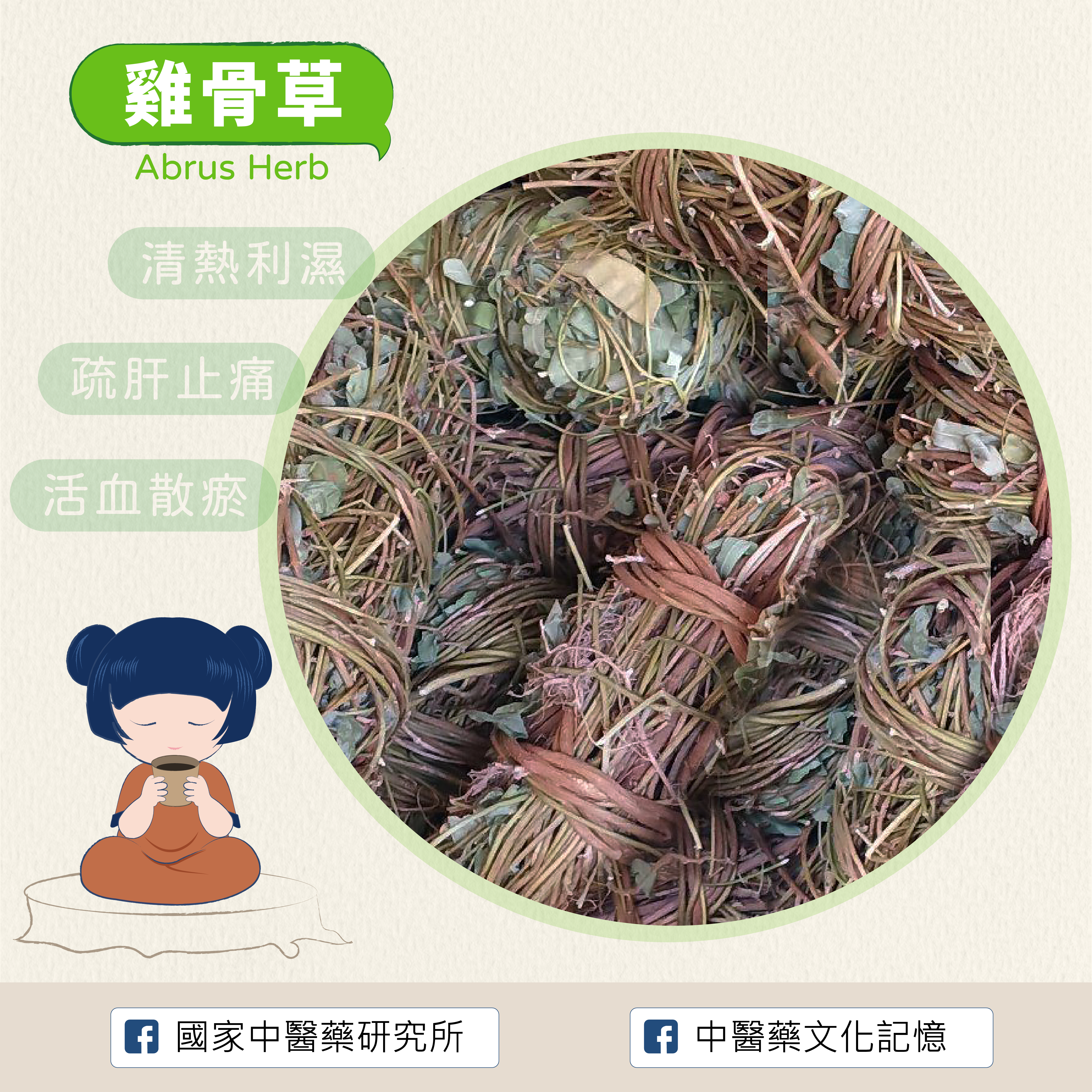 雞骨草