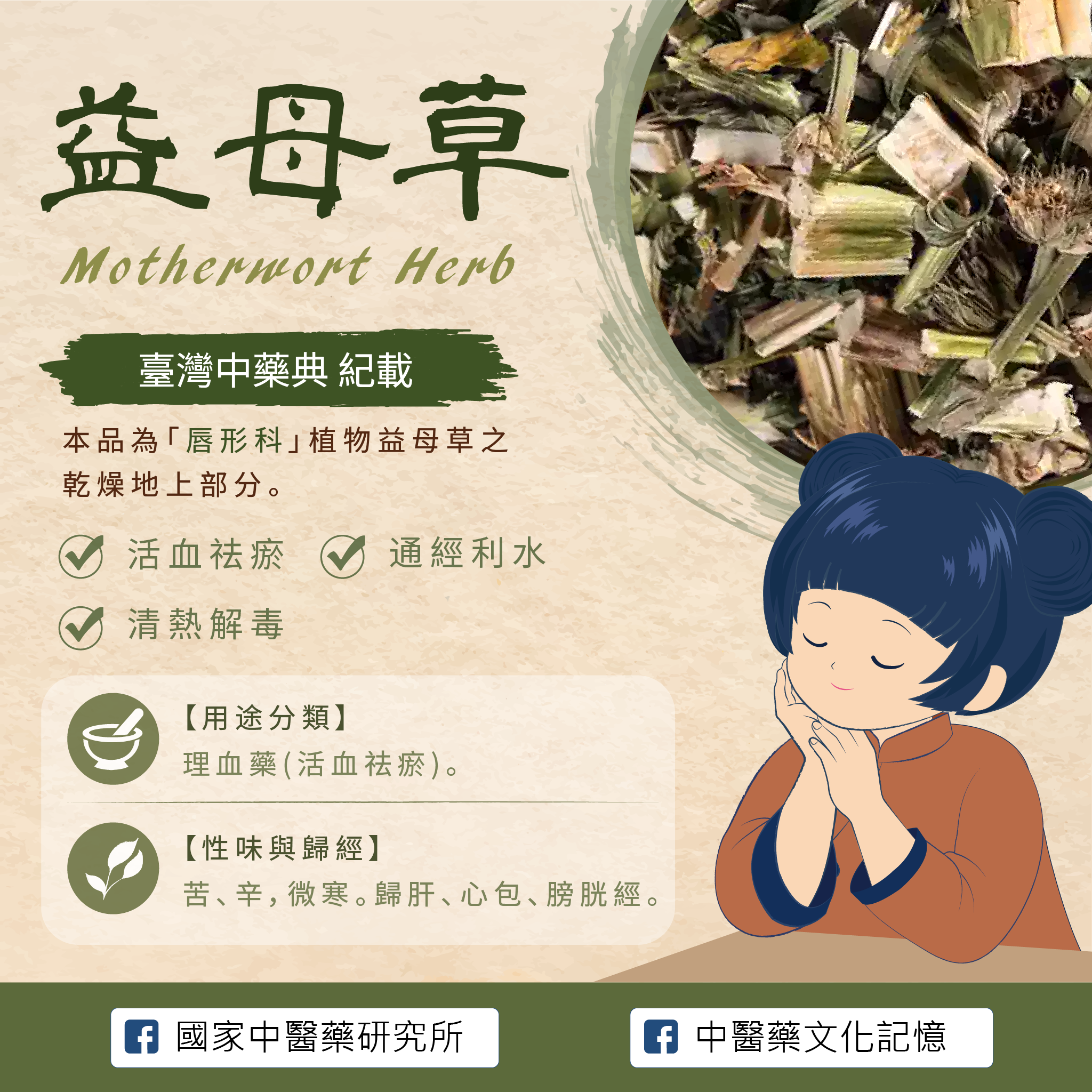 益母草